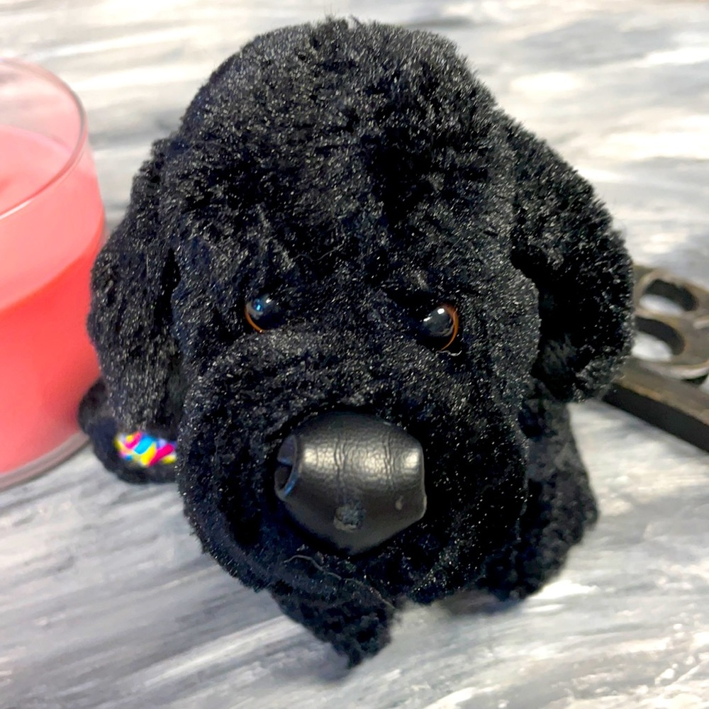 Webkinz Black Lab